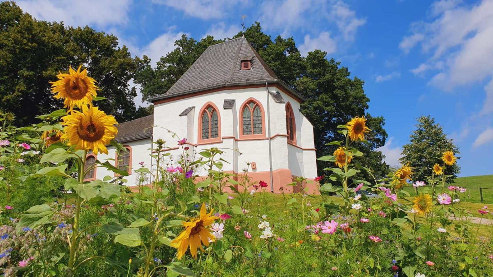 Deine Zeit Mit Sauna Und Wallbox Holiday home